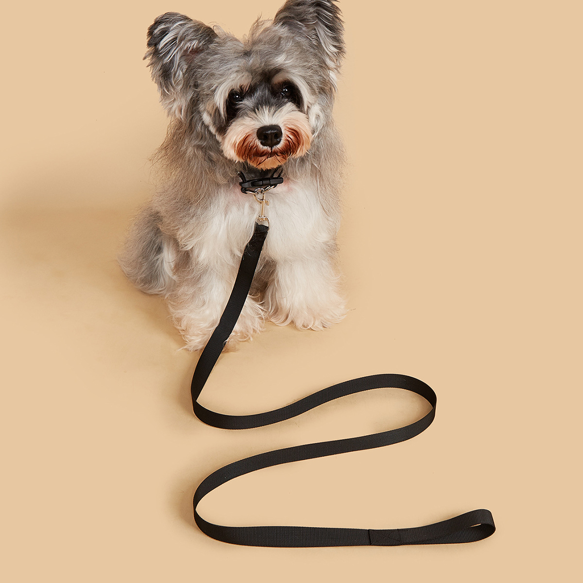 Conjunto de Coleira e Guia par - Headcollar Rope Set avaliação e preço