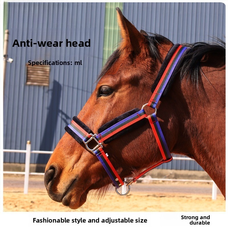 Conjunto de Cabresto para Cava - Headcollar Rope Set avaliação e preço
